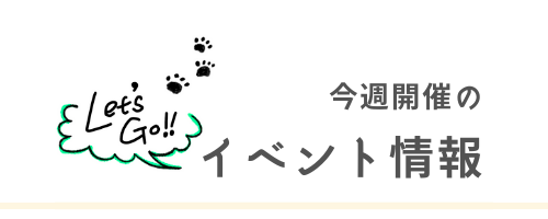 今週開催のイベント情報