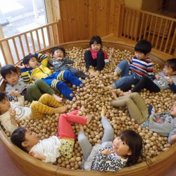 認定こども園どんぐり