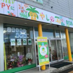 企業主導型保育施設　やしの木