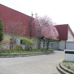 北海道教育大学附属函館幼稚園