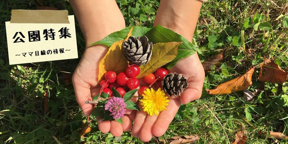 函館・近郊のママスタッフおすすめ公園一覧【ままっち！】