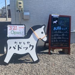 だがしや パドック